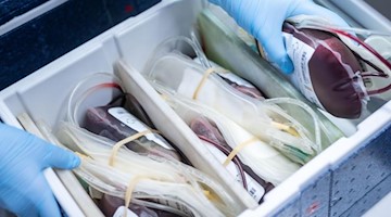 Blutkonserven werden in einer Kühlbox verstaut. Foto: Marius Becker/dpa/Symbolbild