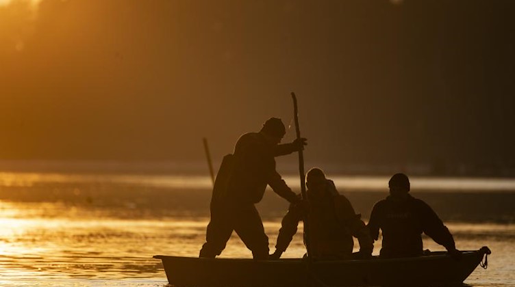 Fischer legen ein Schleppnetz aus, um die Karpfen, Hechte und Schleien aus dem Teich zu ziehen. Foto: Alexander Prautzsch/zB/dpa/Archivbild