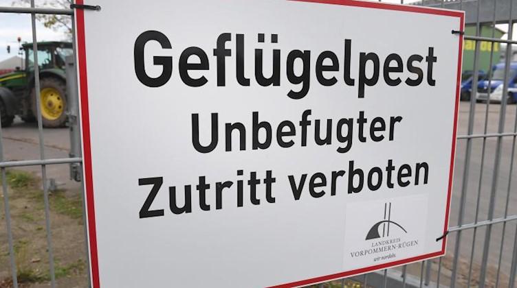 Ein Schild mit der Aufschrift «Geflügelpest» hängt an einem Zaun. Foto: Stefan Sauer/dpa-Zentralbild/dpa/Symbolbild