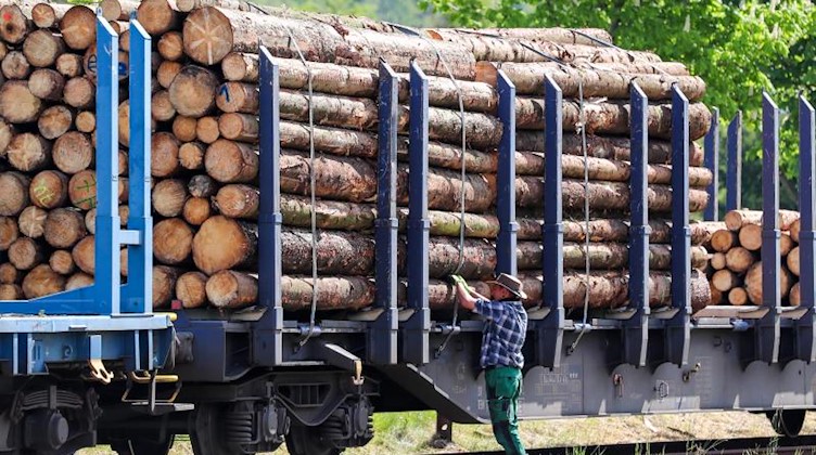 Ein Mann sichert verladene Baumstämme auf einem Güterzug. Foto: Jan Woitas/dpa-Zentralbild/dpa/Archivbild