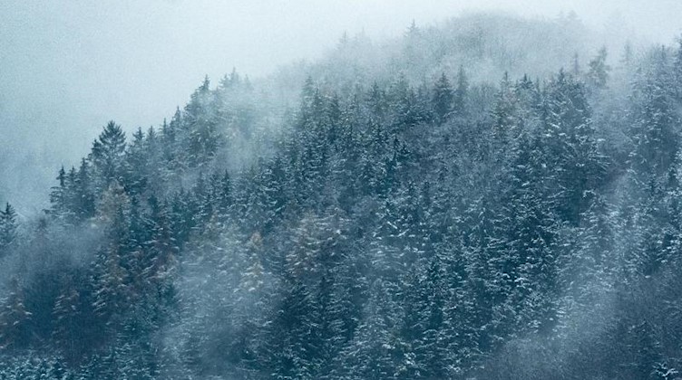 Nebel hängt in leicht verschneiten Bäumen. Foto: Armin Weigel/dpa/Symbolbild
