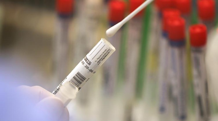 Ein Wattestäbchen mit einem Abstrich wird im Labor für einen Corona-Test verarbeitet. Foto: Oliver Berg/dpa/Symbolbild