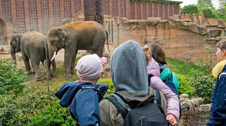 Besucher des Zoos Leipzig blicken auf die Elefanten-Anlage. Foto: Hendrik Schmidt/dpa-Zentralbild/ZB/Archivbild