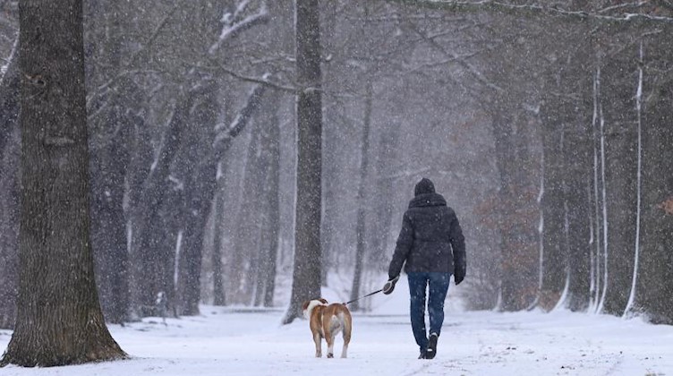Eine Passantin geht mit ihrem Hund durch eine verschneite Allee. Foto: Sebastian Kahnert/dpa-Zentralbild/dpa/Archivbild