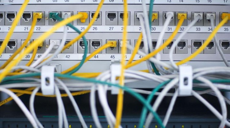 Zahlreiche Netzwerkkabel stecken in einem Büro-Serverschrank. Foto: Jens Büttner/dpa-Zentralbild/dpa/Symbolbild