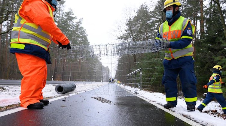 THW-Mitarbeiter errichten entlang der Bundesstraße 115 einen Zaun. Foto: Sebastian Kahnert/dpa-Zentralbild/dpa