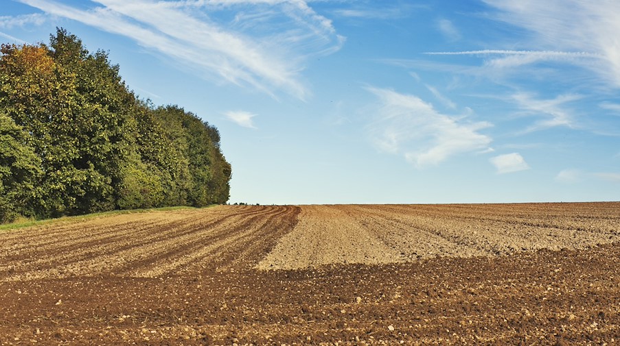 Symbolbild Agrar / pixabay andreas160578