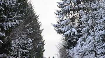 Wanderer gehen durch einen verschneiten Wald im Landkreis Sächsische Schweiz-Osterzgebirge. Foto: Robert Michael/dpa-Zentralbild/dpa/Archivbild