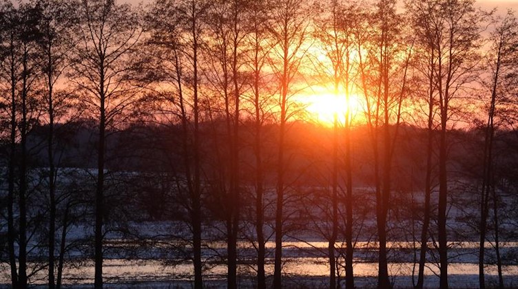 Die Sonne geht hinter Bäumen in Nordsachsen unter. Foto: Sebastian Willnow/dpa-Zentralbild/dpa/Archivbild