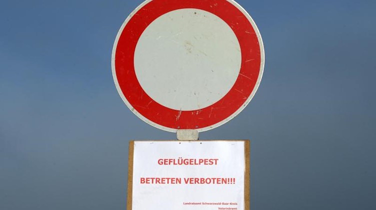 Ein Schild warnt vor der Geflügelpest. Foto: picture alliance/dpa/Symbolbild