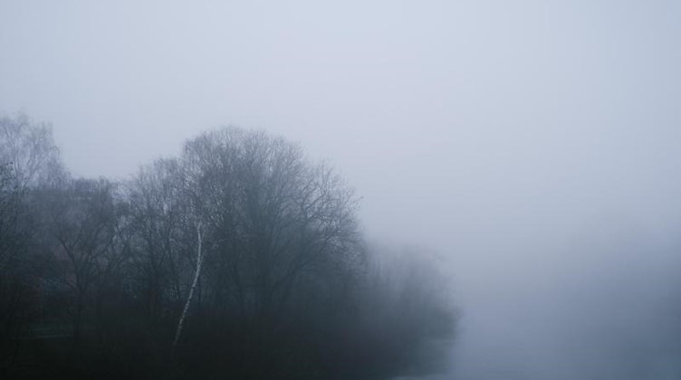 Ein dichter Nebelschleier umhüllt Bäume. Foto: Ole Spata/dpa/Symbolbild