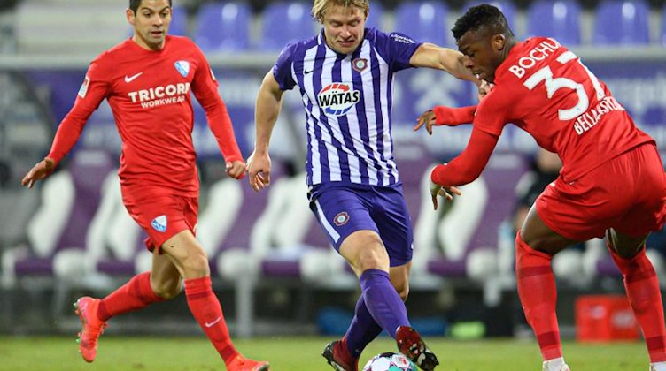 Aues Jan Hochscheidt (M) gegen Bochums Armel Bella Kotchap (r) und Cristian Gamboa. Foto: Robert Michael/dpa-Zentralbild/dpa