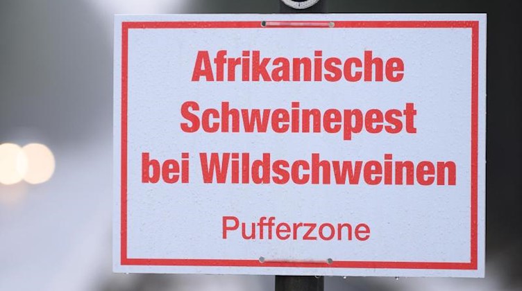 Ein Schild mit der Aufschrift «Afrikanische Schweinepest bei Wildschweinen, Pufferzone» hängt an einem Verkehrsschild. Foto: Sebastian Kahnert/dpa-Zentralbild/dpa/Symbolbild