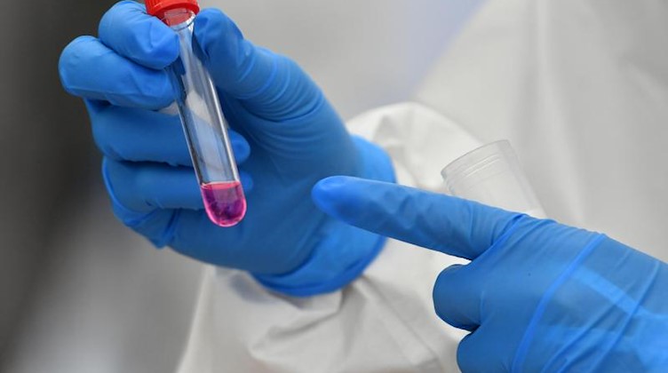 Eine Laborantin hält einen Corona-Test in der Hand. Foto: Hendrik Schmidt/dpa-Zentralbild/ZB/Archivbild