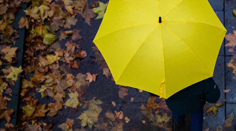 Eine Person läuft mit einem Regenschirm auf einem Gehweg. Foto: Tom Weller/dpa/Archivbild
