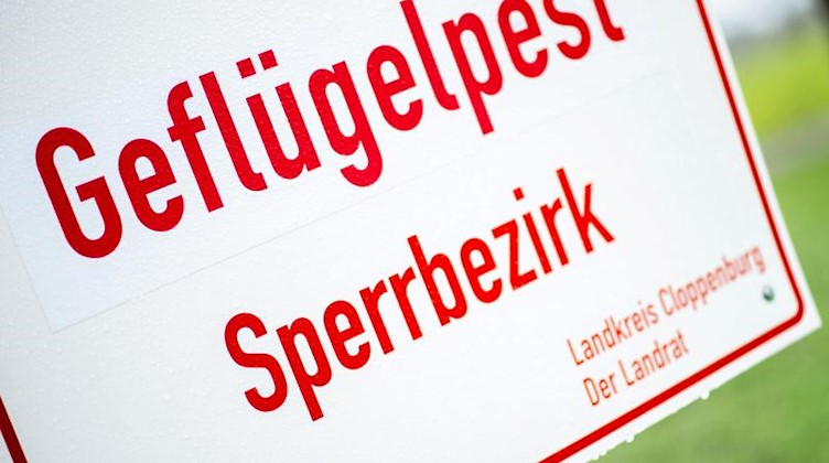 Ein Schild mit der Aufschrift «Geflügelpest Sperrbezirk». Foto: Hauke-Christian Dittrich/dpa