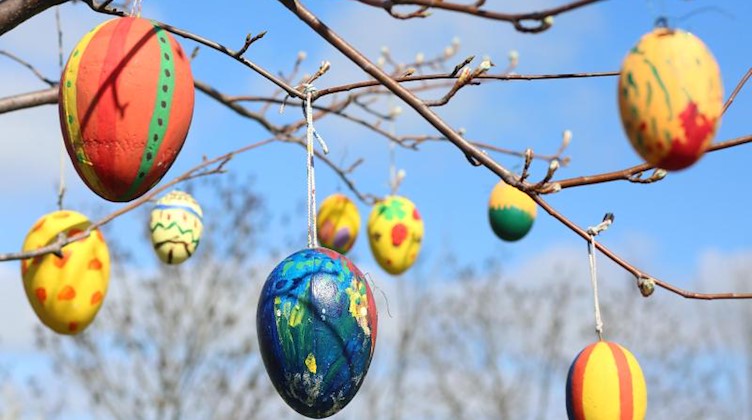 Bemalte Ostereier hängen an einem Baum. Foto: Matthias Bein/dpa-Zentralbild/dpa