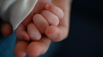 Die Hand eines zwei Wochen altes Neugeborenen liegt in der Hand seiner Mutter. Foto: Sebastian Gollnow/dpa/Symbolbild/Archivbild