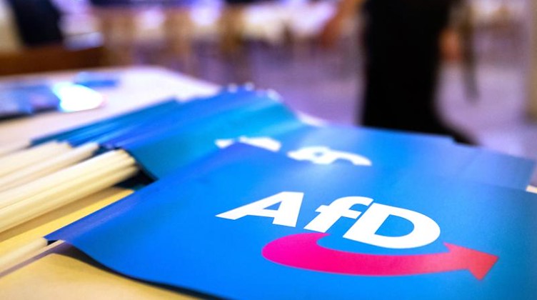 Fähnchen mit dem Logo der AfD. Foto: Daniel Karmann/dpa/Archivbild