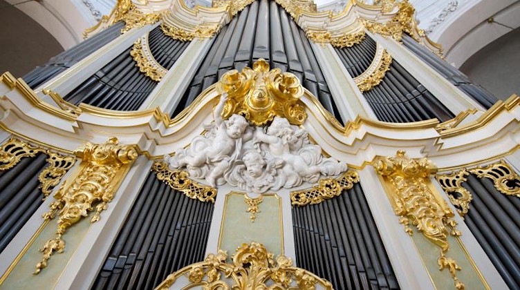 Blick auf die Silbermann-Orgel in der Kathedrale in Dresden. Foto: picture alliance / dpa/Archivbild