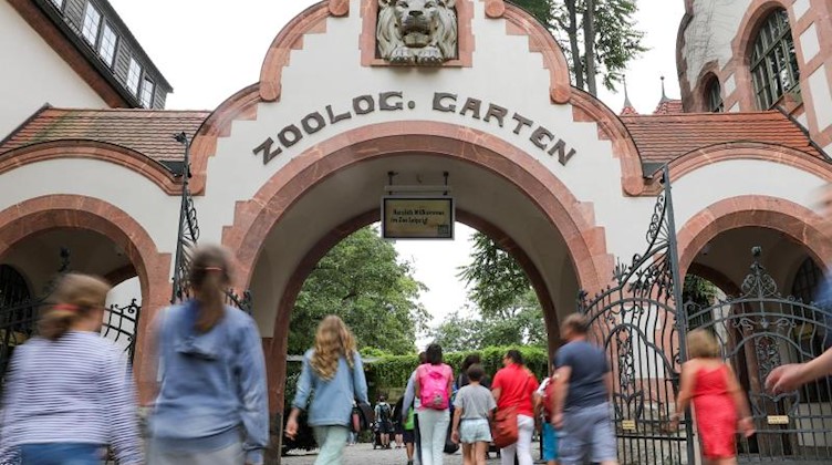 Besucher gehen in den Zoo Leipzig. Foto: Jan Woitas/dpa-Zentralbild/ZB/Archiv