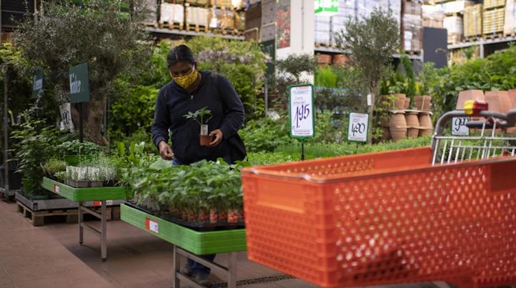 Eine Kundin mit Mundschutz schaut sich in einer Gartenabteilung um. Foto: Gian Ehrenzeller/KEYSTONE/dpa/Archiv