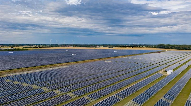 Ein großes Feld mit Photovoltaikanlagen zur Erzeugung von Solarenergie ist zu sehen. Foto: Paul Zinken/dpa-Zentralbild/dpa/Symbolbild