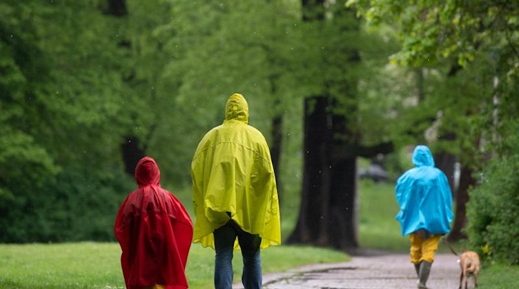 Spaziergänger gehen in bunten Regenmänteln durch einen Park. Foto: Hendrik Schmidt/dpa-Zentralbild/dpa