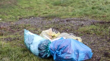 Mehrere Mülltüten liegen abseits einer Straße auf einer Wiese. Foto: Jan Woitas/dpa-Zentralbild/dpa