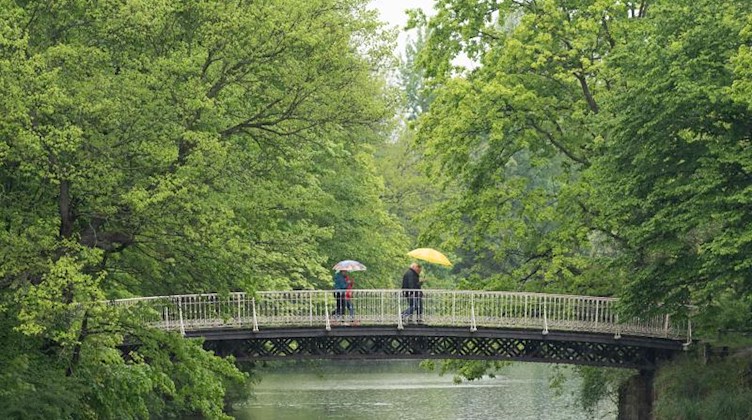 Passanten gehen mit Regenschirmen auf einer Brücke über den Carolasee im Großen Garten in Dresden. Foto: Sebastian Kahnert/dpa-Zentralbild/dpa/Archivbild
