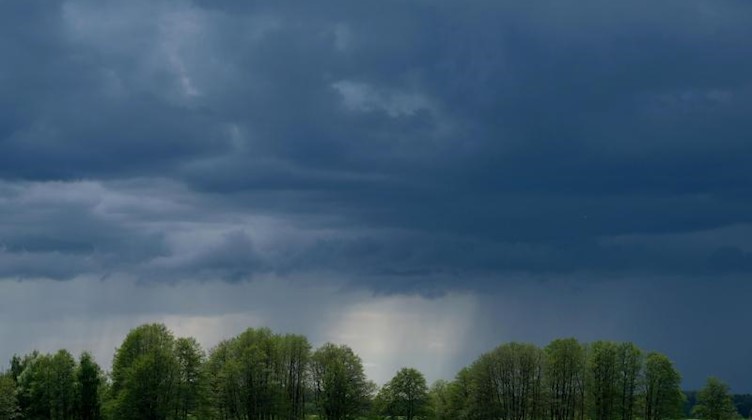 Regenwolken über einem Feld in Nordsachsen. Foto: Sebastian Willnow/dpa-Zentralbild/dpa