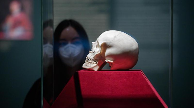 Eine Mitarbeiterin der Staatlichen Kunstsammlungen betrachtet in der Sonderausstellung «Bernini, der Papst und der Tod» einen Totenkopf aus weißem Carrara-Marmor. Foto: Robert Michael/dpa-Zentralbild/dpa