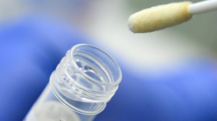 Ein Tupfer mit einem Abstrich für einen Corona-Test über einem Teströhrchen. Foto: Sebastian Gollnow/dpa/Symbolbild