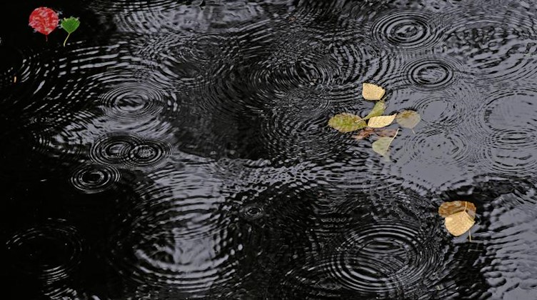 Regentropfen erzeugen Ringe auf einer Wasseroberfläche. Foto: Paul Zinken/dpa/Symbolbild