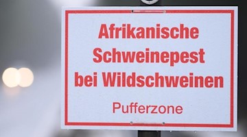 Ein Schild mit der Aufschrift «Afrikanische Schweinepest bei Wildschweinen, Pufferzone». Foto: Sebastian Kahnert/dpa-Zentralbild/dpa/Archivbild
