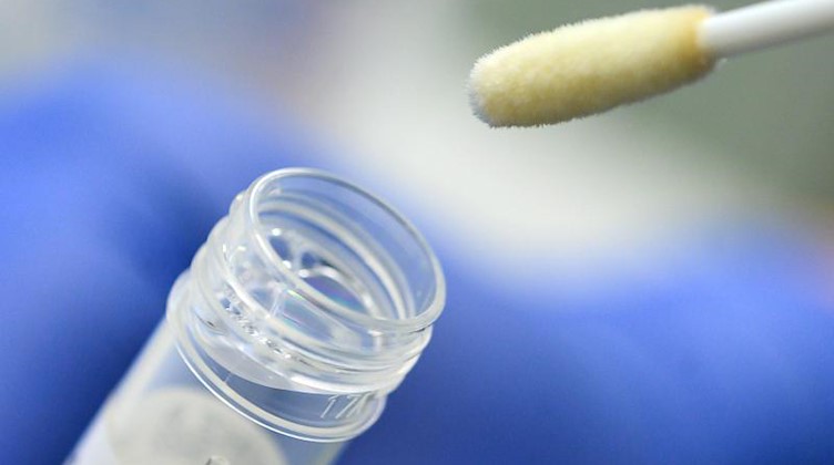Ein Abstrich für das Testverfahren auf das Coronavirus. Foto: Sebastian Gollnow/dpa/Symbolbild