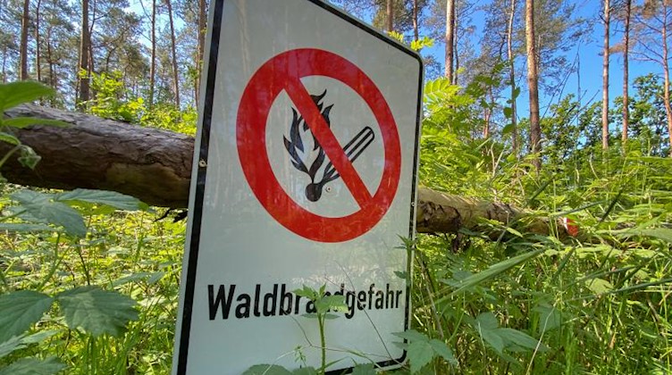 Die Waldbrandgefahr nimmt in den kommenden Tagen in Sachsen zu. Foto: Julian Stratenschulte/dpa/Symbolbild