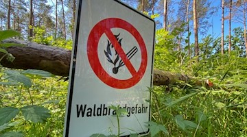 Die Waldbrandgefahr nimmt in den kommenden Tagen in Sachsen zu. Foto: Julian Stratenschulte/dpa/Symbolbild