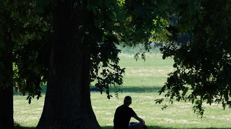Ein Mann sitzt im Johannapark im Schatten eines Baumes. Foto: Sebastian Willnow/dpa-Zentralbild/dpa/Archivbild