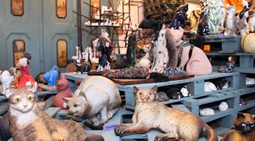 Katzenfiguren stehen in der Katzenkunst-Sammlung im Rittergut Bösenbrunn. Foto: Katrin Mädler/dpa-Zentralbild/dpa