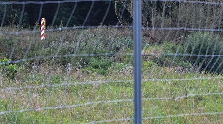 Ein Drahtzaun gegen die Afrikanische Schweinepest. Foto: Patrick Pleul/dpa-Zentralbild/ZB/Archivbild