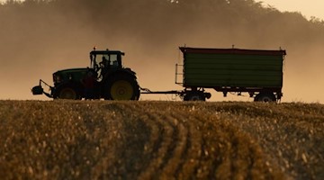 Ein Traktor steht bei Sonnenuntergang mit einem Anhänger auf einem abgeernteten Feld. Foto: Sebastian Kahnert/dpa-Zentralbild/dpa