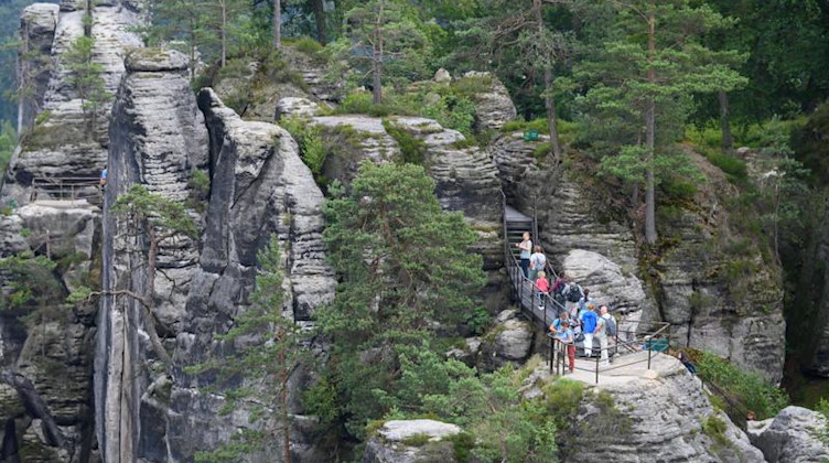 Touristen stehen im Nationalpark Sächsische Schweiz auf einer Aussichtsplattform. Foto: Robert Michael/dpa-Zentralbild/dpa/Archivbild