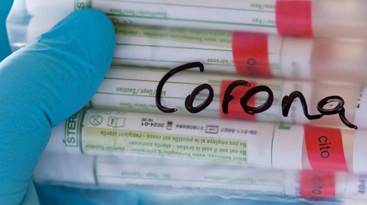 Proben für Corona-Tests werden im Diagnosticum-Labor in Plauen für die weitere Untersuchung vorbereitet. Foto: Hendrik Schmidt/dpa-Zentralbild/Symbolbild