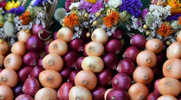 Die beliebten Zwiebelzöpfe sind an einem Marktstand des Zwiebelmarkts zu sehen. Foto: Martin Schutt/dpa-Zentralbild/dpa/Archivbild