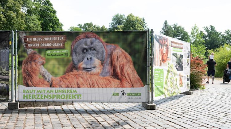 Ein Bauzaun im Zoo Dresden umgibt das Areal des künftigen Affenhaus für Orang-Utans. Foto: Sebastian Kahnert/dpa-Zentralbild/dpa/Archiv