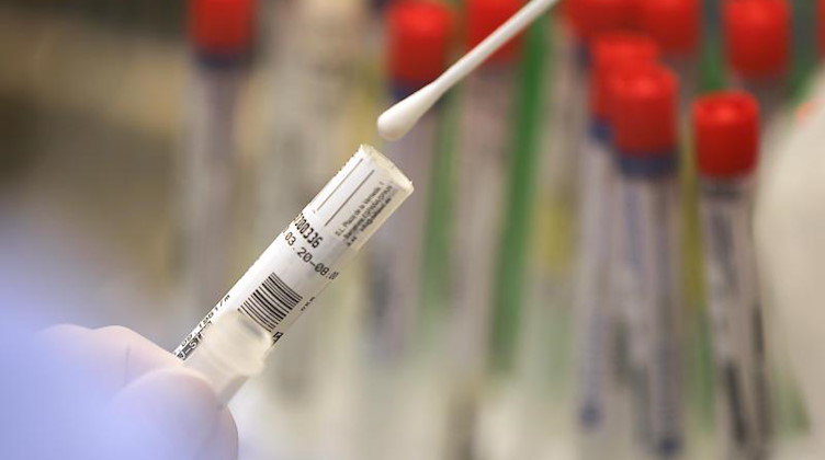 Ein Abstrich wird in einem Labor auf das Coronavirus untersucht. Foto: Oliver Berg/dpa/Symbolbild