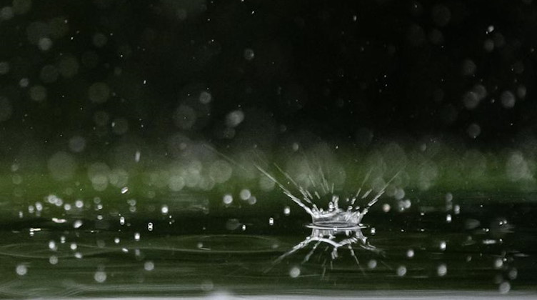 Regentropfen fallen auf ein Autodach. Foto: Sebastian Gollnow/dpa/Symbolbild