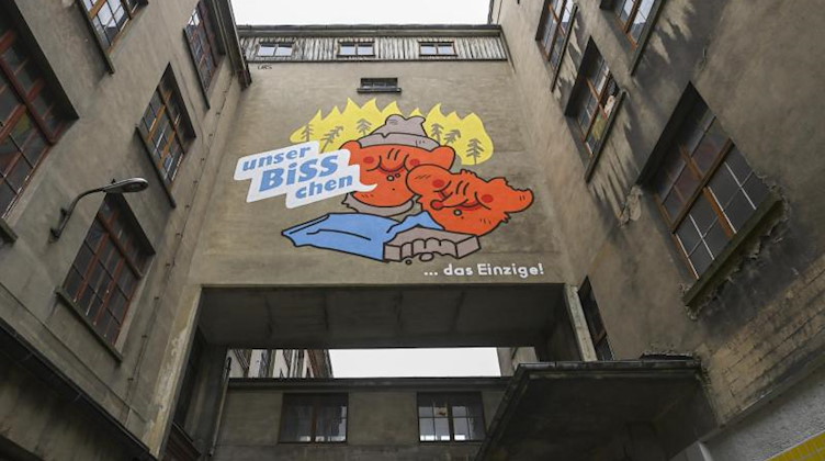 Eine Arbeit des Künstlerduos Uder&Schindl ist an der Fassade der ehemaligen Buntpapierfabrik zu sehen. Foto: Hendrik Schmidt/dpa-Zentralbild/dpa