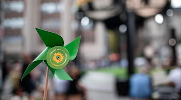 Eine Windblume mit dem Logo der Partei steht abseits einer Wahlkampfveranstaltung. Foto: Fabian Strauch/dpa/Symbolbild
